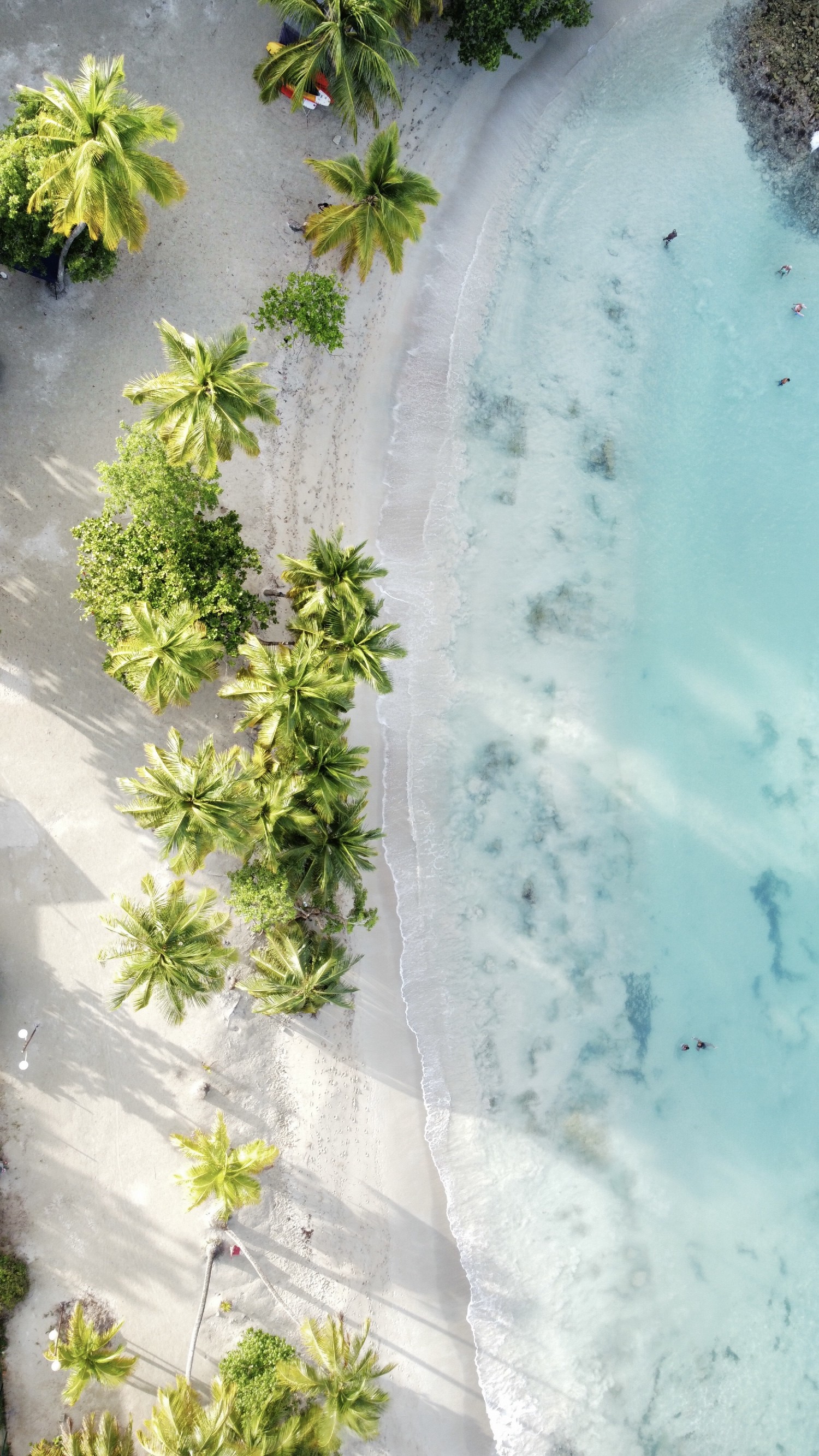 Plage de l’anse figuier Martinique - The Explorers