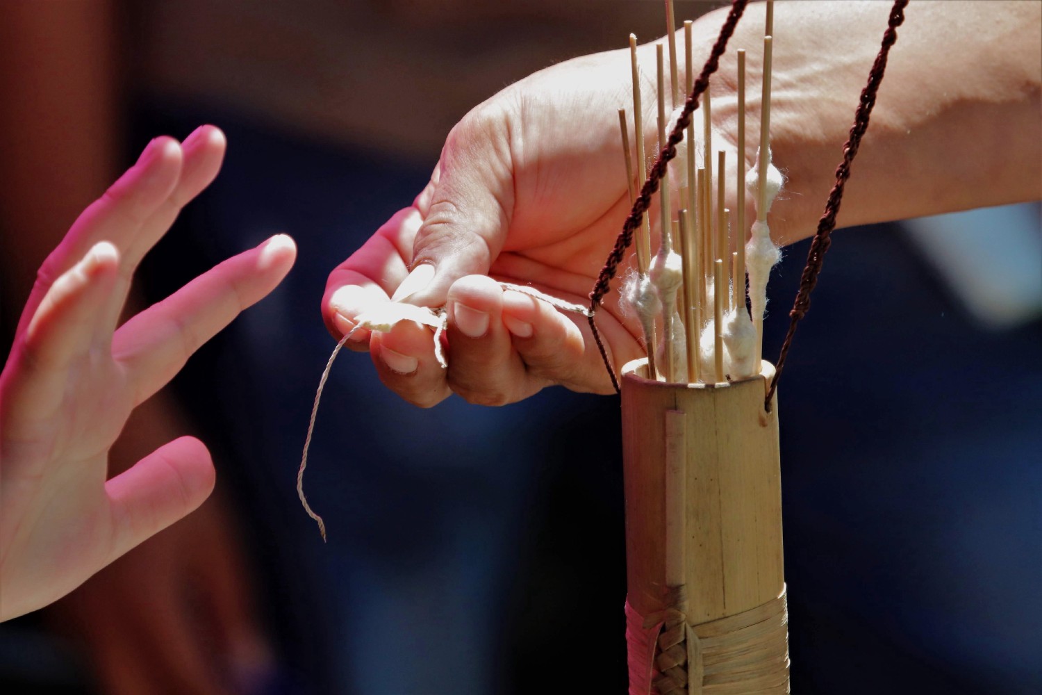 Cerbatanas Artículos y accesorios de caza